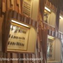 에콜로지아 이미지