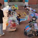 군남초등학교 이미지