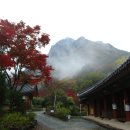 갈빛