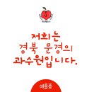 한창애플나이