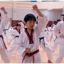 한양대청사태권도 이미지