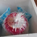 선하식품 이미지