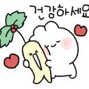 수석태권도장 이미지