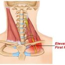 명작한의원 이미지