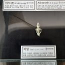 세계기독교박물관 이미지