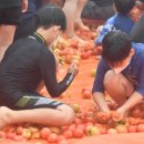 토마토 수영장 이미지