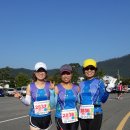 강진마라톤 이미지