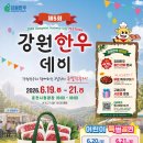 강원한우데이 완전 정복 / 완벽 가이드: 최대 40% 할인 · 한우버거 무료 나눔 · 춘천 시청광장 총정리