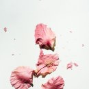 유니크디자인 - 영등포구 선유로 130 | 유니크디자인