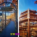 제91회 동하산악회 대전 장태산 자연휴양림 정기산행 11월 15일 화요일 이미지
