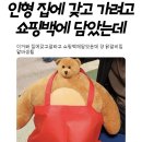 알바