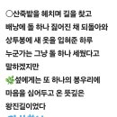 화계