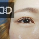 뚱슈헤나 네이버블로그