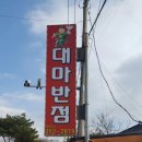 대마반점