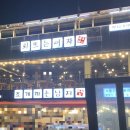 회뜨는여자