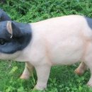 인왕초교(병설)유치원 이미지