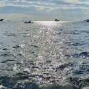 봄여울약국 | 부산여행 영도 흰여울 문화마을 해안터널, 흰여울점빵 라면 후기