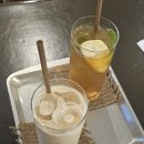 버드나무커피타운 | 신방화 카페] 핸드드립 커피 맛집 ‘버드나무 커피타운’ 내돈내산 솔직 후기 ☕ 조용한 분위기 추천!