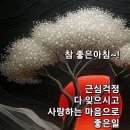 미안했다 사랑한다 고마웠다 이미지
