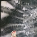 광영택시 | Epilouge 발리우붓 / 발리를 대체할 수 있는건 발리뿐