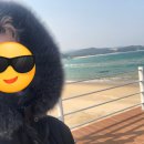 양양초등학교 티스토리