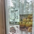 한식디저트 이미지