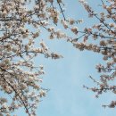 병곡면보건지소 이미지