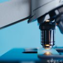에투알드서울치과 네이버블로그