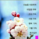한국전문강사지도자협회 이미지