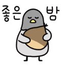 레포밸리 이미지