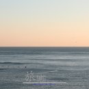 동해바다 이미지