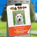 나는 돈까스 이미지