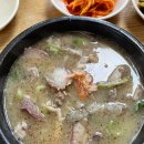 화성투어 - 화성시 초록로693번길 18 | 화성투어