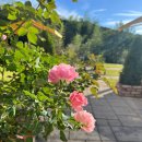 커피숍 해밀 이미지