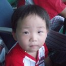 한밭야구장 이미지