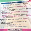 솔안말배드민턴장 | 봄맞이 운동으로 솔안공원에서 배드민턴 재미있어요~