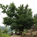 이서우체국 이미지