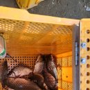 청도천10 이미지