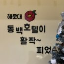 동백호텔(해운대점) | 동백호텔_ 부산 해운대 가성비 좋은 숙소, 부산여행 내돈내산 솔직후기