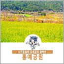 가온누리재가복지센터 이미지