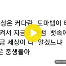 우주에 대한 풍자 해학 기롱거림 2019년 7월26일 녹화 강론 이미지