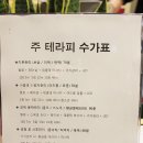 테라피피부관리실 이미지