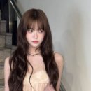 미학들