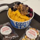 쿠키들의 하루 | 세종 두바이쫀득쿠키 디저트 카페, 마이요거트립 세종대평점 요거트 아이스크림 후기