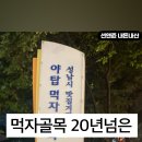 청정숯불꼼장어