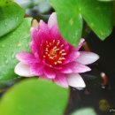 동쪽마을 이미지