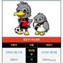 골든FC축구센터