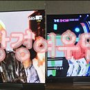 여우단 Daum카페