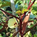 하늘농장 이미지