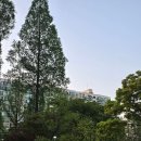 장미아파트 이미지